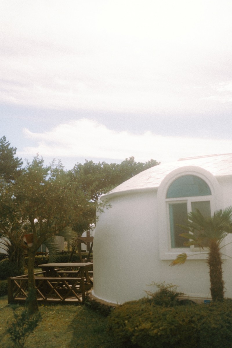 d7b99df4177cf17f2f33e298445ac9f3_1740904154_0917.jpg d7b99df4177cf17f2f33e298445ac9f3_1740904154_0917.jpg