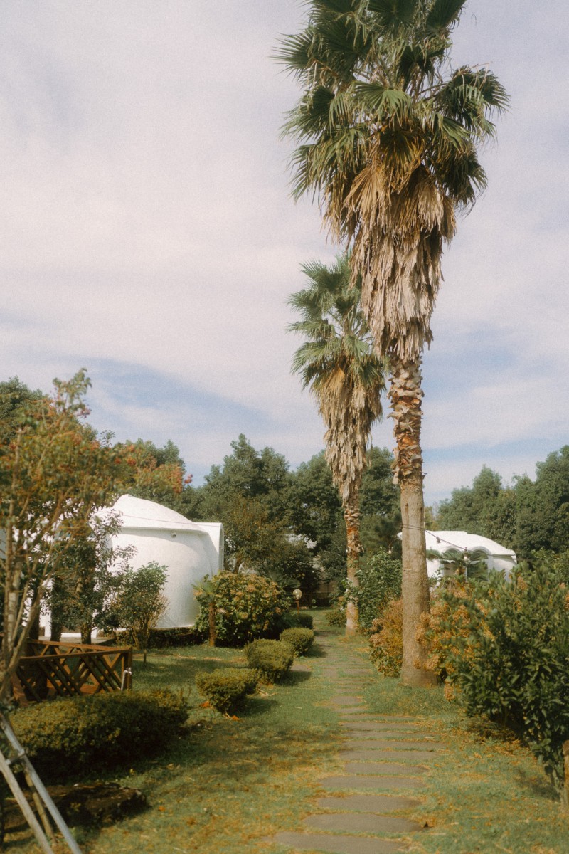 d7b99df4177cf17f2f33e298445ac9f3_1740904154_5032.jpg d7b99df4177cf17f2f33e298445ac9f3_1740904154_5032.jpg