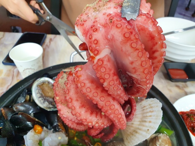 e57280ebf430247708e1dfb2bc438969_1742459317_3107.jpg e57280ebf430247708e1dfb2bc438969_1742459317_3107.jpg