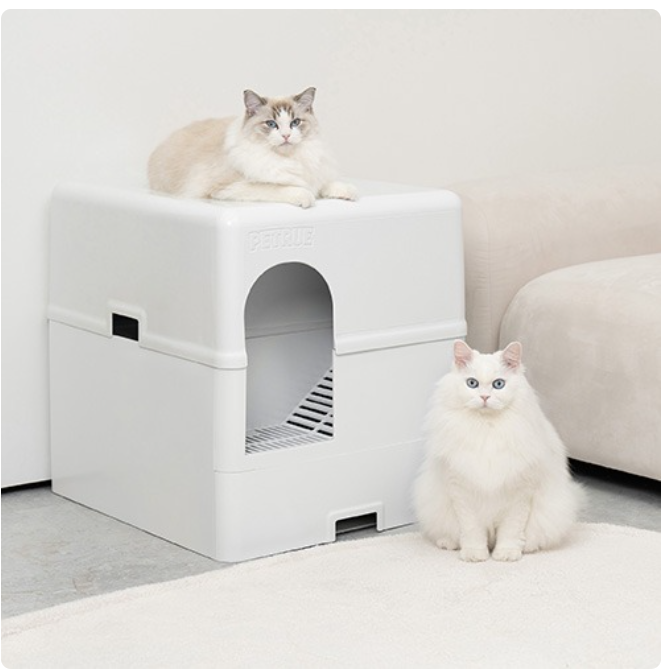 505000033b8a6126bb62968079609721_1744704632_7865.png 505000033b8a6126bb62968079609721_1744704632_7865.png