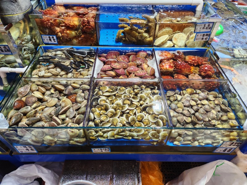 7dcadb63987740c0203d0b8cd1b5ebb8_1744871448_6155.jpg 7dcadb63987740c0203d0b8cd1b5ebb8_1744871448_6155.jpg