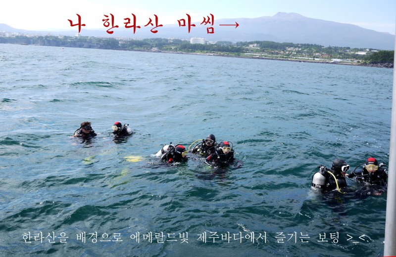 2725e06ff9664441acb411829e0d383c_1747121850_0646.jpg 2725e06ff9664441acb411829e0d383c_1747121850_0646.jpg