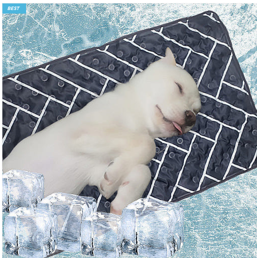 7b21aae8236b8f42ef9713035917c5f9_1746697637_3051.png 7b21aae8236b8f42ef9713035917c5f9_1746697637_3051.png