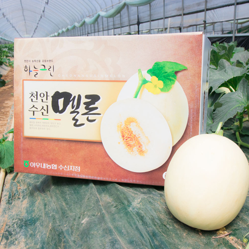 c8aa3148e719d1d489930793b45e5a51_1747018497_9228.jpg c8aa3148e719d1d489930793b45e5a51_1747018497_9228.jpg