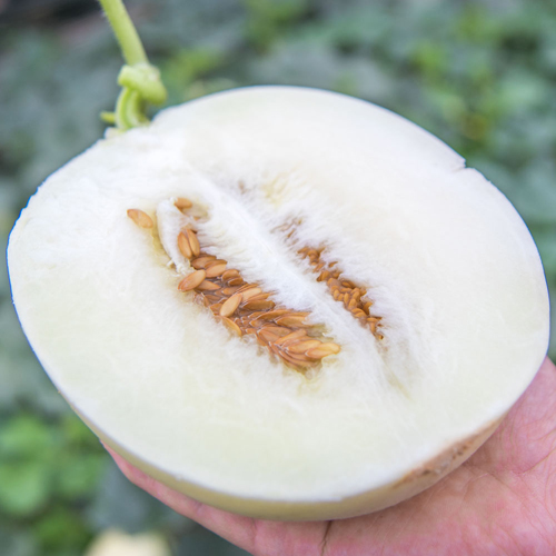 c8aa3148e719d1d489930793b45e5a51_1747018499_7536.jpg c8aa3148e719d1d489930793b45e5a51_1747018499_7536.jpg