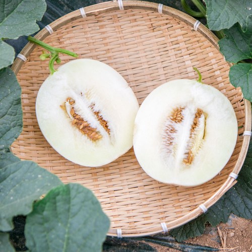 c8aa3148e719d1d489930793b45e5a51_1747018501_5924.jpg c8aa3148e719d1d489930793b45e5a51_1747018501_5924.jpg