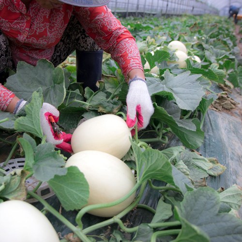 c8aa3148e719d1d489930793b45e5a51_1747018502_9735.jpg c8aa3148e719d1d489930793b45e5a51_1747018502_9735.jpg