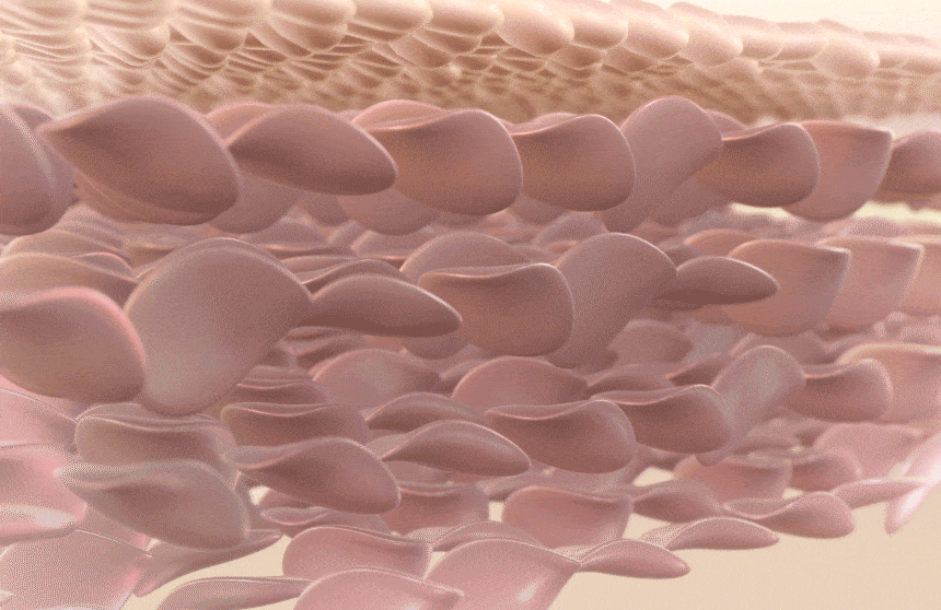 f31c970ce6f7f6a6659de78e345eca80_1747885737_0364.gif f31c970ce6f7f6a6659de78e345eca80_1747885737_0364.gif