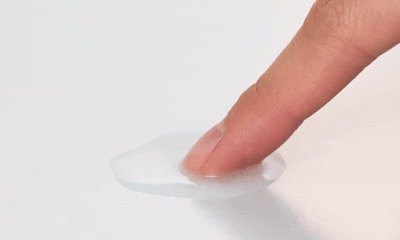 f31c970ce6f7f6a6659de78e345eca80_1747885872_7275.gif f31c970ce6f7f6a6659de78e345eca80_1747885872_7275.gif