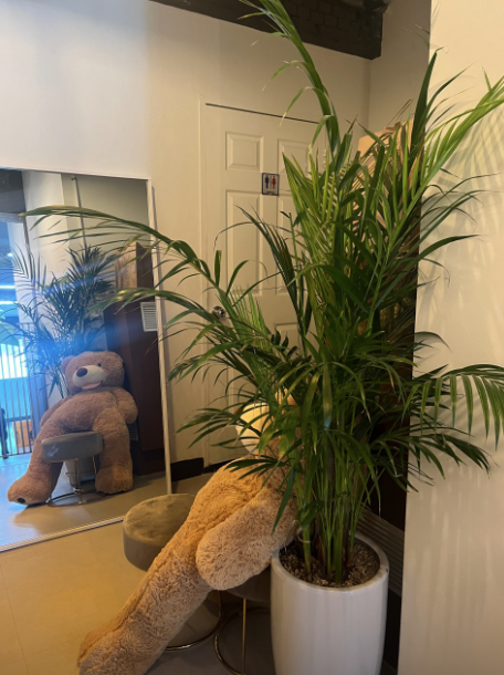 352d7df4ec56e2117275246a410459e7_1749457987_8377.png 352d7df4ec56e2117275246a410459e7_1749457987_8377.png