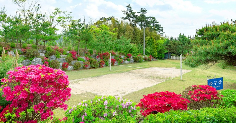 36a6b31ee91bc219ef7c7d997305b02e_1750225829_6102.png 36a6b31ee91bc219ef7c7d997305b02e_1750225829_6102.png