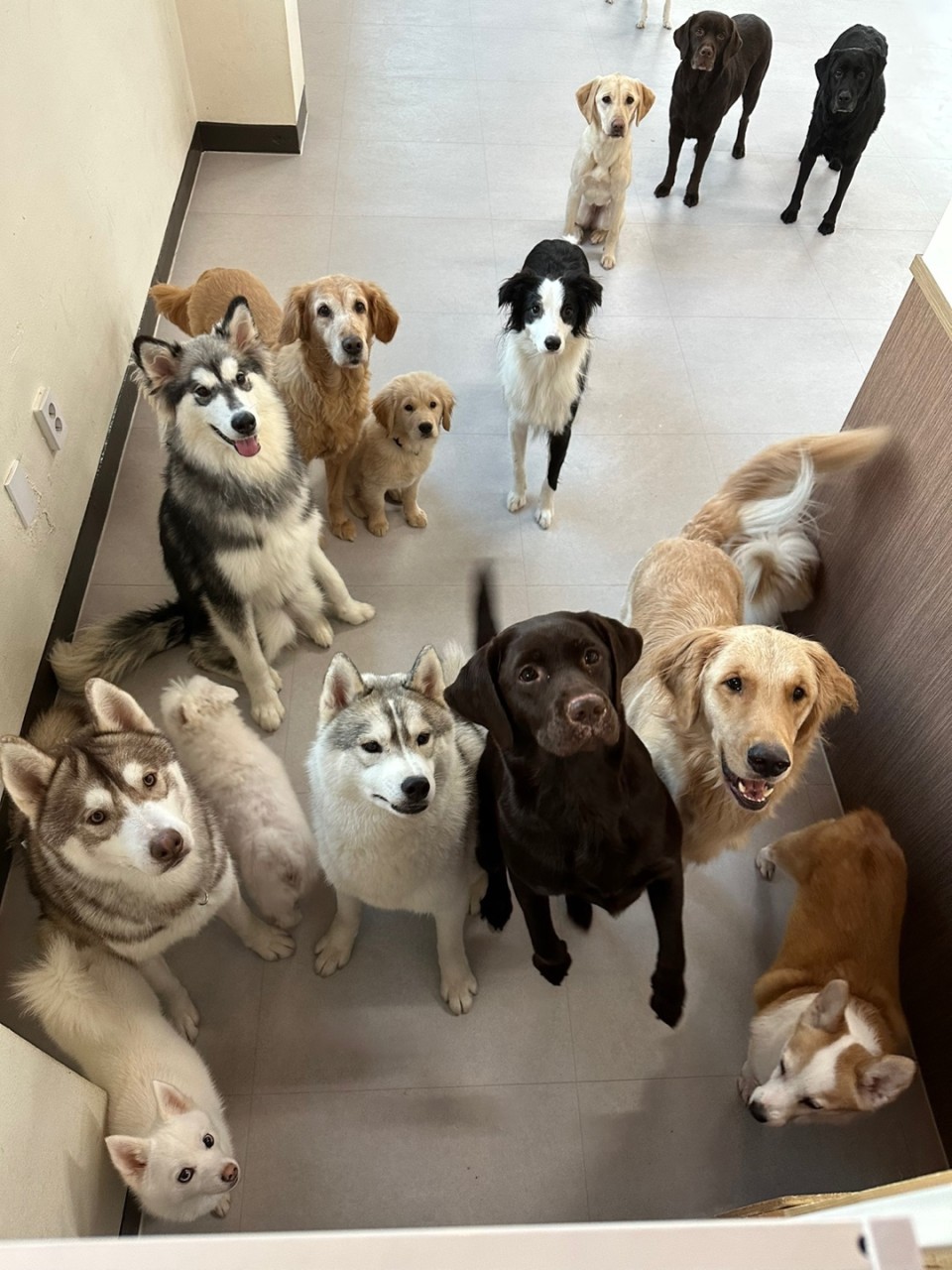 acc3676aa63de8987125416a78992e97_1750987323_6432.jpg acc3676aa63de8987125416a78992e97_1750987323_6432.jpg