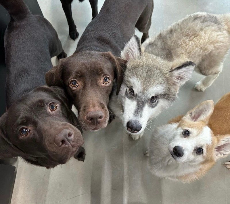 acc3676aa63de8987125416a78992e97_1750987323_7523.jpg acc3676aa63de8987125416a78992e97_1750987323_7523.jpg