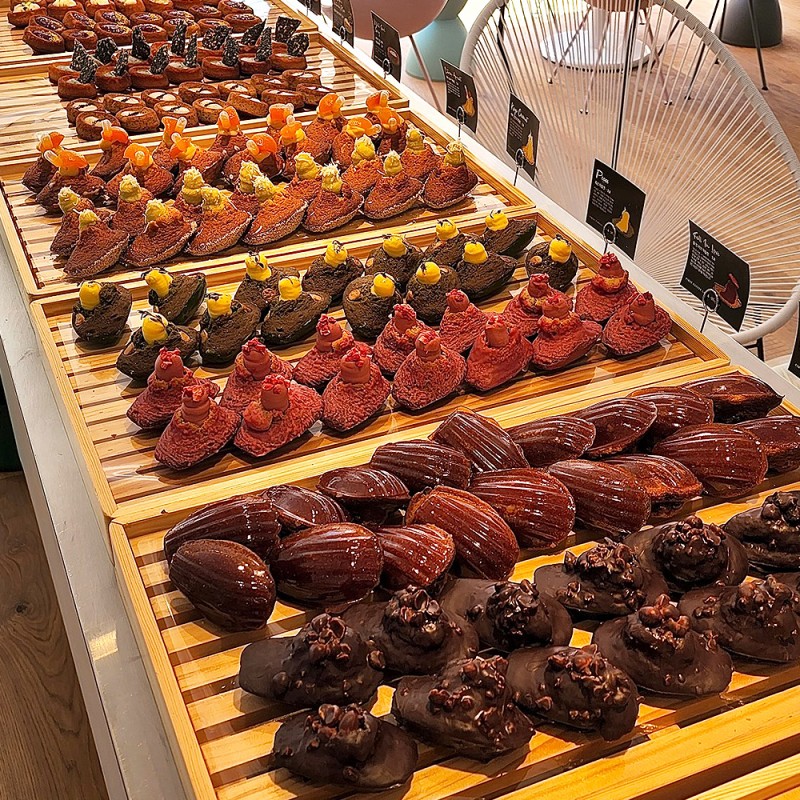 b3d6999ba7b966eb1f1d27a2c3c11999_1751002169_7222.jpg b3d6999ba7b966eb1f1d27a2c3c11999_1751002169_7222.jpg