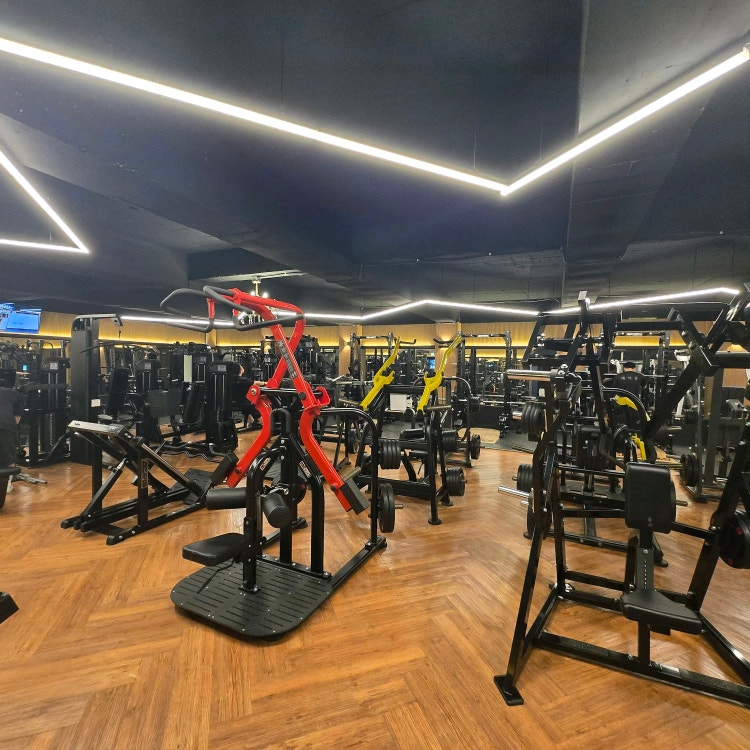 d57ce237392ec510b5487344a8755e82_1749415426_1517.jpg d57ce237392ec510b5487344a8755e82_1749415426_1517.jpg