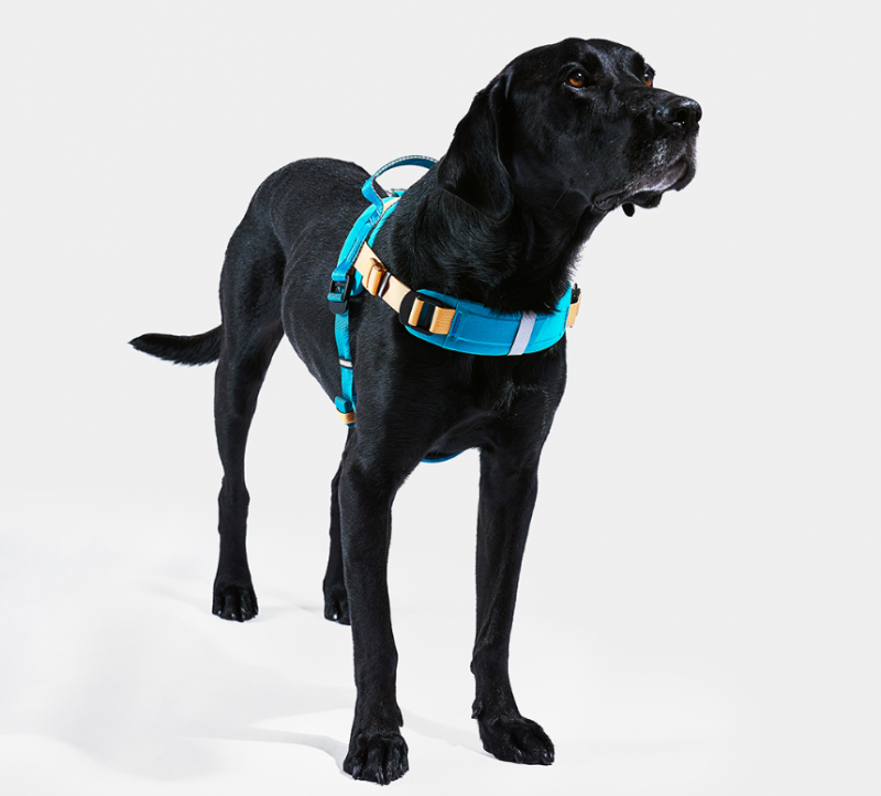 fcf0bba0ef6b20a6dce3e031e1a1cc72_1749547628_7903.png fcf0bba0ef6b20a6dce3e031e1a1cc72_1749547628_7903.png