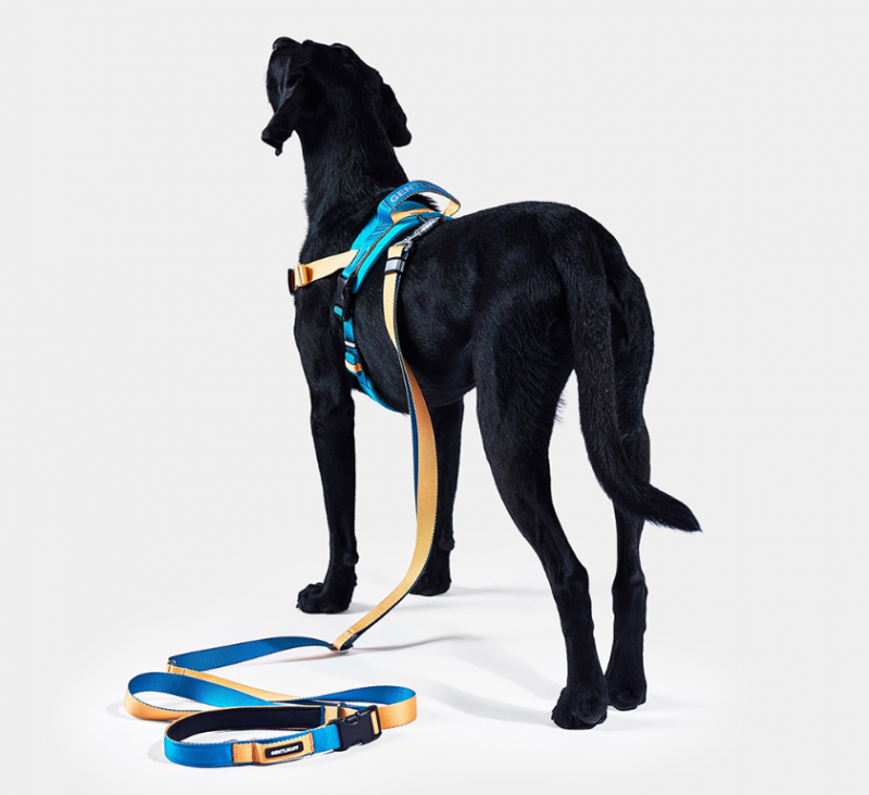 fcf0bba0ef6b20a6dce3e031e1a1cc72_1749547628_9128.png fcf0bba0ef6b20a6dce3e031e1a1cc72_1749547628_9128.png