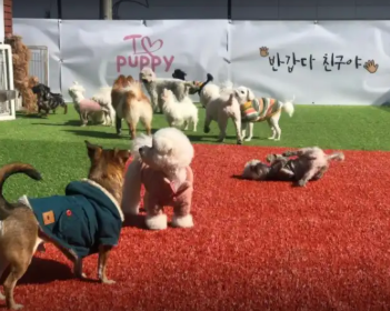 dd28cf544172e973e679efa175af1ad5_1752484076_1788.png dd28cf544172e973e679efa175af1ad5_1752484076_1788.png