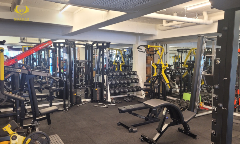 057e6a92975b9909576d306c12cd6b1b_1755140810_8109.png 057e6a92975b9909576d306c12cd6b1b_1755140810_8109.png