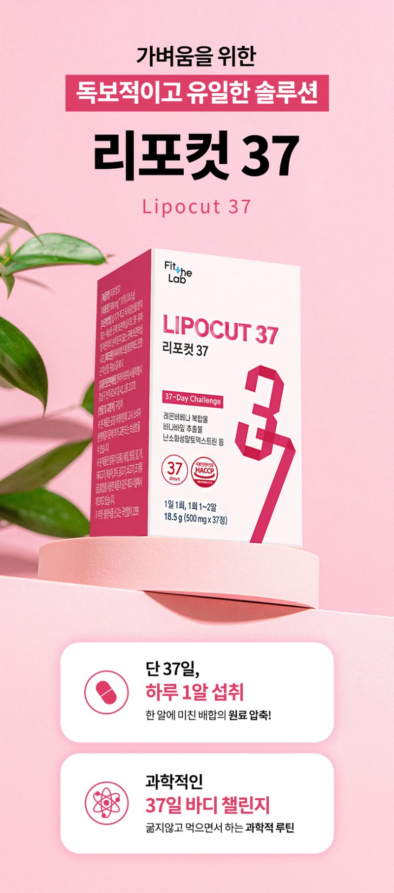 b6b10980120f58b8b5804ee9b13e6be3_1754383987_1704.jpg b6b10980120f58b8b5804ee9b13e6be3_1754383987_1704.jpg