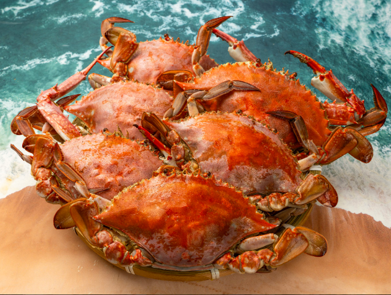 c849258a02936ad404c76349d05292c9_1758528835_7016.png c849258a02936ad404c76349d05292c9_1758528835_7016.png