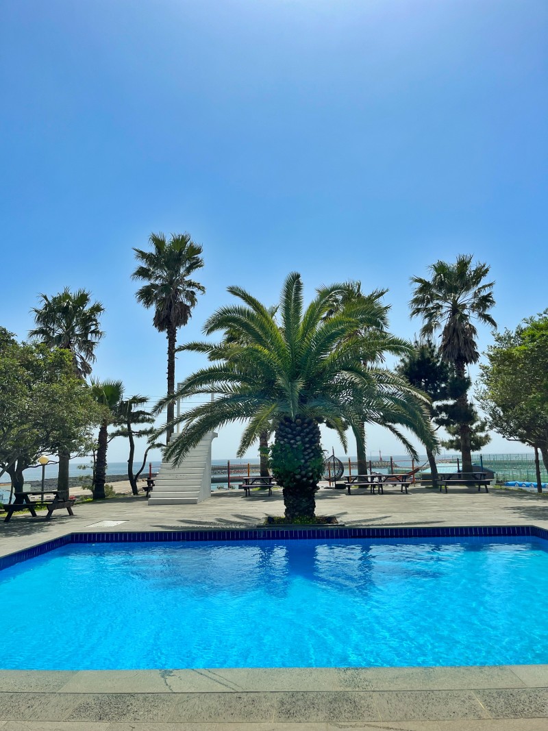 274e5257a5a5e9203e9a87bca9f6816a_1761814307_6628.jpeg 274e5257a5a5e9203e9a87bca9f6816a_1761814307_6628.jpeg