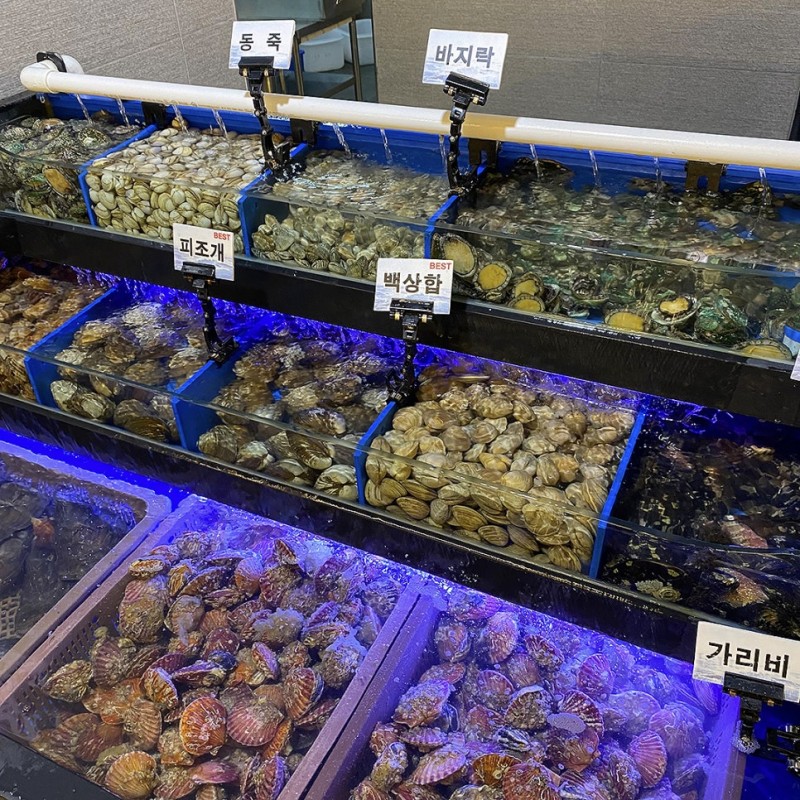 488b75ca8c74a2b18ba2a250b1f38ae1_1760658206_1207.jpg 488b75ca8c74a2b18ba2a250b1f38ae1_1760658206_1207.jpg