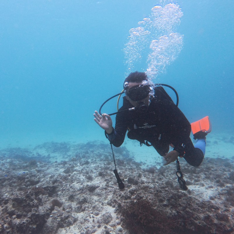 3bc5463dea40ab42bcb708d842b6b2ad_1765243000_4688.jpg 3bc5463dea40ab42bcb708d842b6b2ad_1765243000_4688.jpg