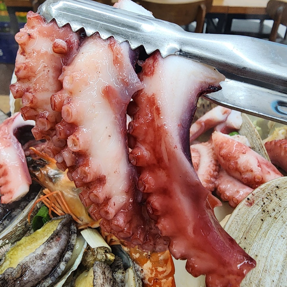 721d30530cdab7460bda6f574e2d55a4_1765248800_328.jpg 721d30530cdab7460bda6f574e2d55a4_1765248800_328.jpg