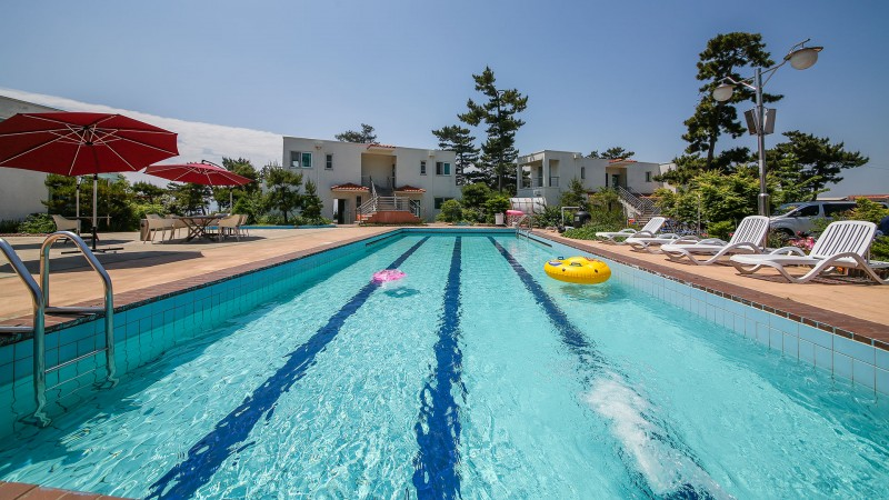 dd6e22918c69bebc18da21165bc04432_1765174143_4203.png dd6e22918c69bebc18da21165bc04432_1765174143_4203.png