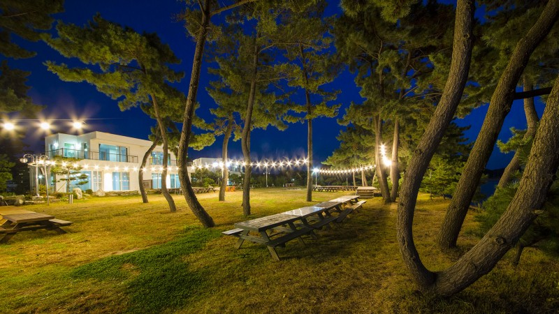 dd6e22918c69bebc18da21165bc04432_1765174148_7003.png dd6e22918c69bebc18da21165bc04432_1765174148_7003.png