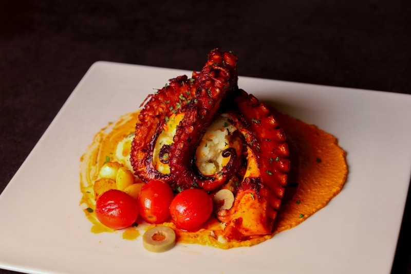 427a73af33acab8352bc11f0f8cefd4b_1770112024_92.jpg 427a73af33acab8352bc11f0f8cefd4b_1770112024_92.jpg