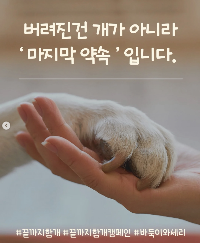 605c91f510587f9a1d1ac96362ca0461_1790602544_976.png 605c91f510587f9a1d1ac96362ca0461_1790602544_976.png